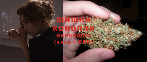 стафф Медвежьегорск