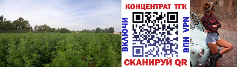 Дистиллят ТГК THC oil  Собинка 